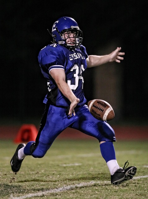 以及他对利 以及他对利